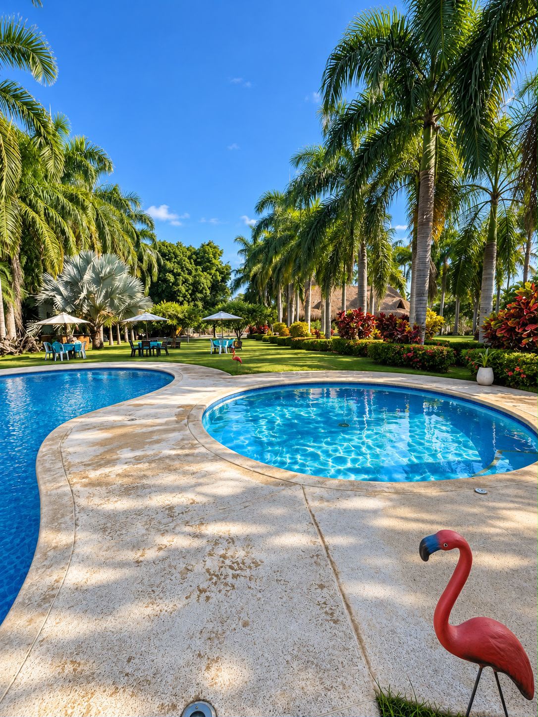 Piscinas de la finca